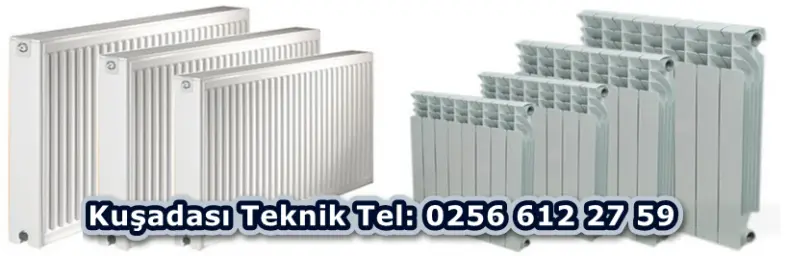 Kuşadası    Viessmann Kombi  Servisi